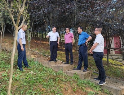 省林業(yè)局副局長傅強(qiáng)一行赴施秉縣指導(dǎo)國儲(chǔ)林及林下經(jīng)濟(jì)建設(shè)與林業(yè)產(chǎn)品銷售工作